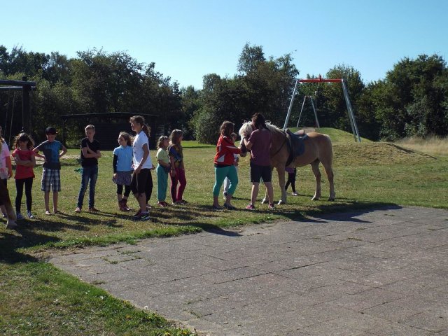 Bilder 02.09.2014