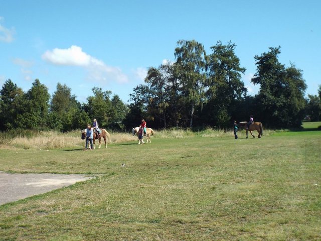 Bilder 02.09.2014