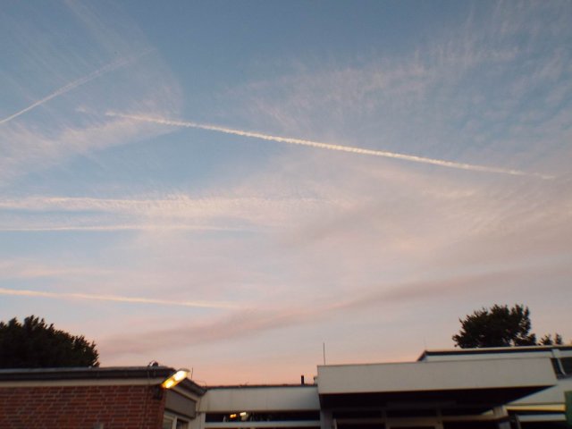 Bilder 12.08.2015