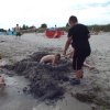 Bilder 23.07.2016
