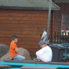 Bilder 13.07.2017