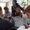 Bilder 13.07.2017