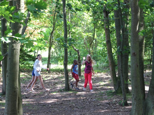 Bilder 19.07.2017 Thementag