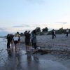 Bilder 23.07.2017