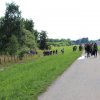 Bilder 23.07.2017 Flashmob