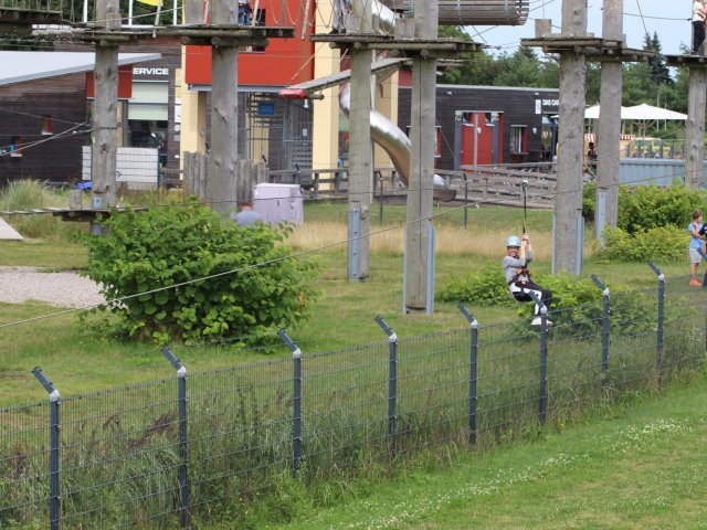 Bilder 26.07.2017