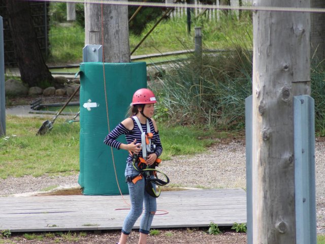 Bilder 26.07.2017