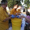 Bilder 15.08.2012