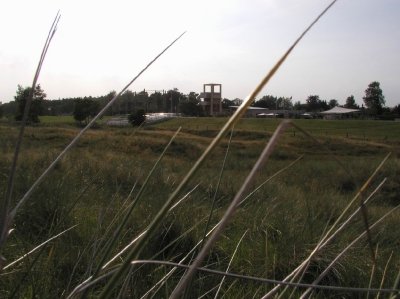 Bilder 17.08.2012