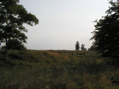 Bilder 17.08.2012