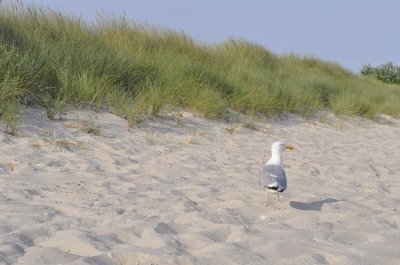 Bilder 17.08.2012