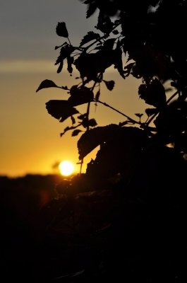 Bilder 28.08.2012