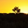 Bilder 28.08.2012
